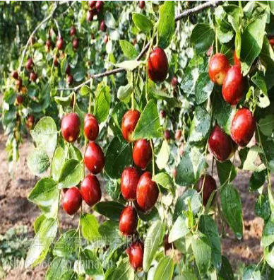 ScreenShot_2026-03-23_162715_238