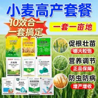 小麥增產套餐一噴三防殺蟲殺菌防病增產白粉病赤霉病蚜蟲紅蜘蛛