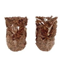 山核桃仁500g新貨原味山核桃仁250克批發罐裝小包裝干果零食特產