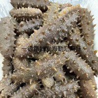 批發(fā)大連淡干海參大連刺參遼刺參大連遼參海參干貨泡發(fā)10倍優(yōu)質