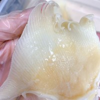 產(chǎn)地批發(fā) 北海魚赤 海狗翅浦魚赤片 佛跳墻酒店餐飲食材海味干貨