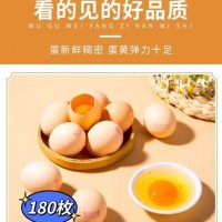 可生食富硒無(wú)抗雞蛋無(wú)激素?zé)o農(nóng)殘新鮮柴現(xiàn)撿雞蛋180枚雞蛋批發(fā)