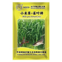 魚塘專用水草小米草牧草種種子草魚耐高溫耐水淹四季雀葉稗草籽子