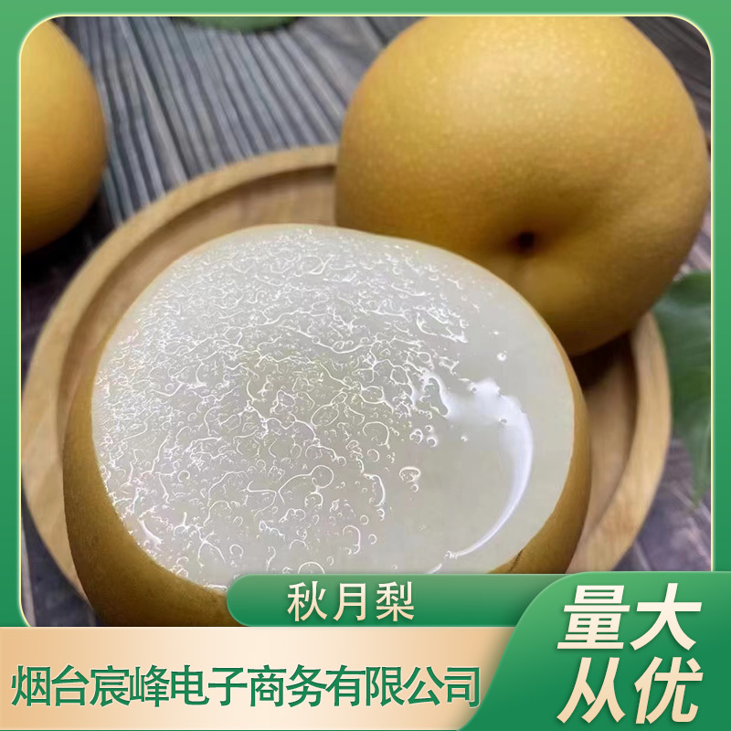 O1CN01IUzUsB1uKIJ0O8Mf0_!!2214679166018-0-cib