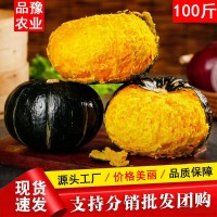 廠家批發(fā)正宗山東貝貝南瓜板栗口感粉糯香甜新鮮9斤裝 一件代發(fā)