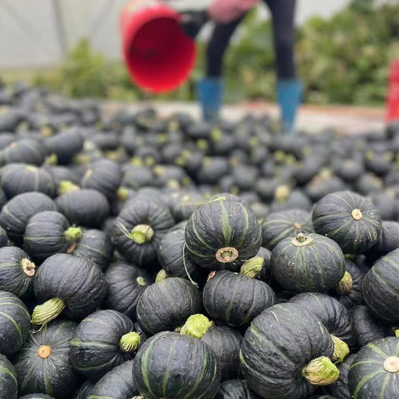 O1CN01Y1586j22EMQGrlaVx_!!6000000007088-0-cib