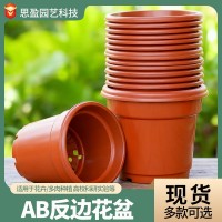 AB系列塑料花盆培育盆反邊加厚加侖育苗網(wǎng)底小花盆綠蘿多肉種植盆